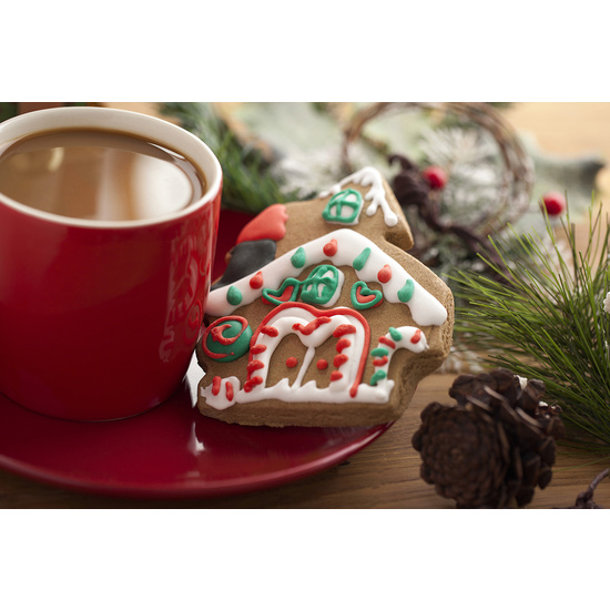 Santa's Gingerbread - Fragrance Oil