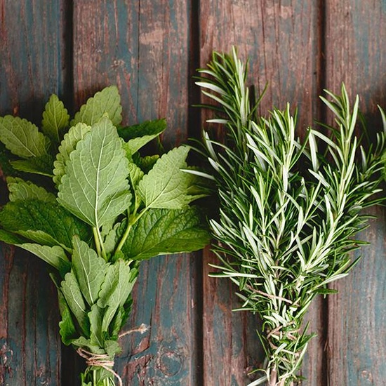 Rosemary & Mint - Fragrance Oil