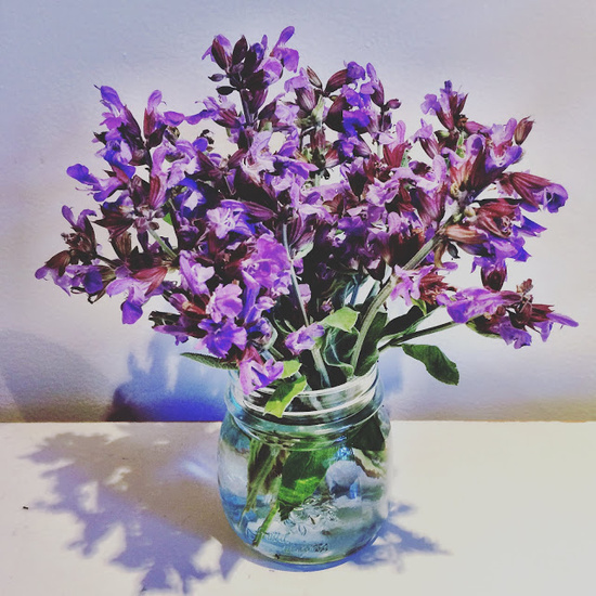 Sage Flower - Fragrance Oil