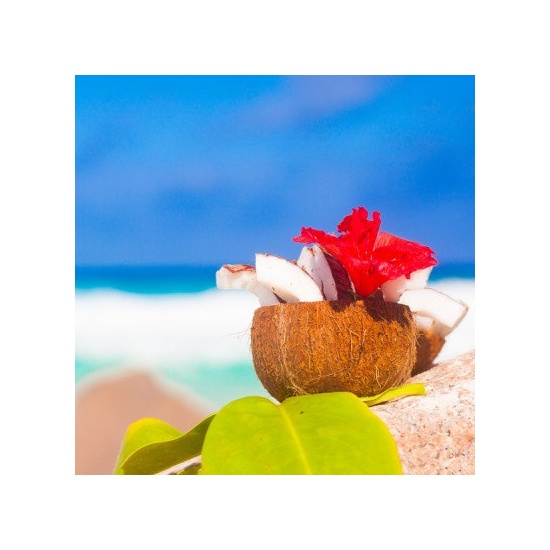 Coconut Palm & Hibiscus - Fragrance Oil