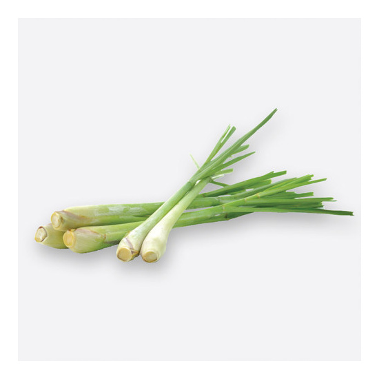 Sweet Lemongrass - Fragrance Oil (55ml)