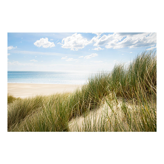 Seagrass & Wild Lavender - Fragrance Oil (55ml)