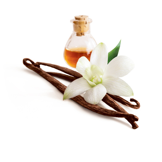 Vanilla - Fragrance Oil