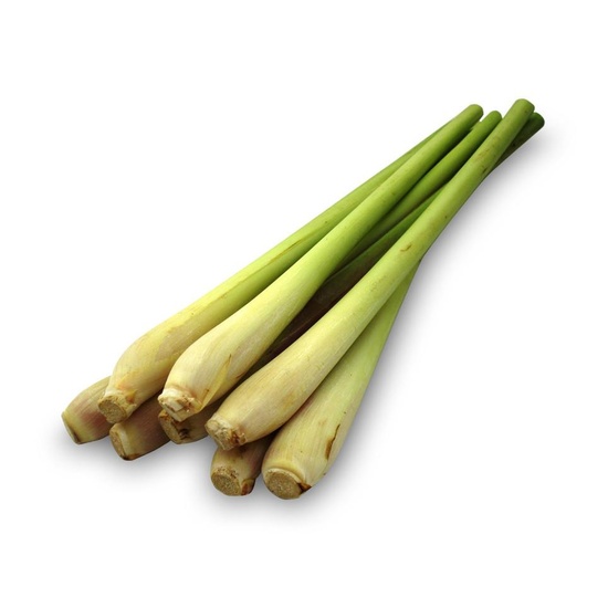 Wild Lemongrass - Fragrance Oil (55ml)