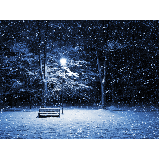 Winter's Night Dream - Fragrance Oil (55ml)