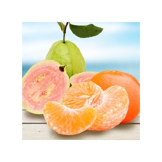 Zesty Tangerine Guava - Fragrance Oil