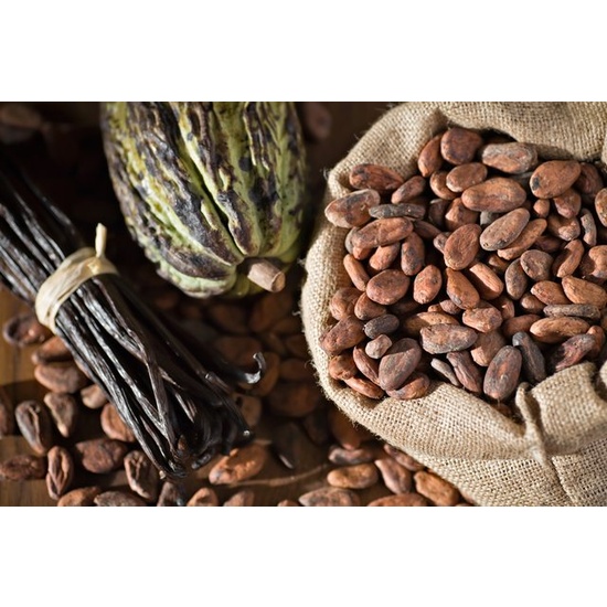 Vanilla & Cocoa Beans - Fragrance Oil (55ml)