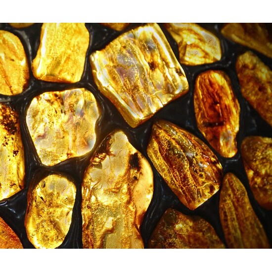 Warm Amber & Cedar - Fragrance Oil