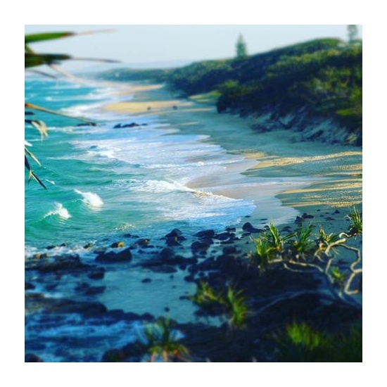 Sea Salt & Ocean Breeze - Fragrance Oil