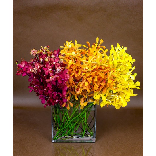 Autumn Orchid - Fragrance Oil