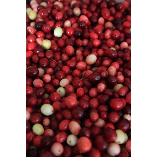 Cranberries & White Musk - Fragrance Oil