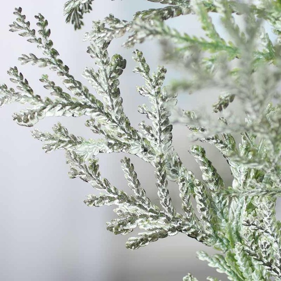 Frosted Cedar - Fragrance Oil