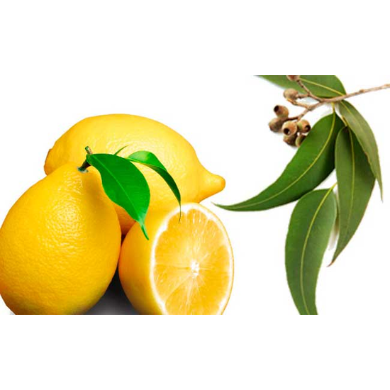 Lemon Eucalyptus - Fragrance Oil