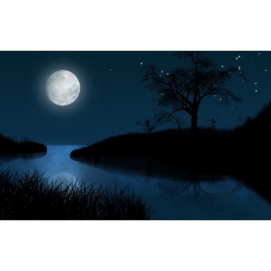 Moonlit Night - Fragrance Oil (55ml)