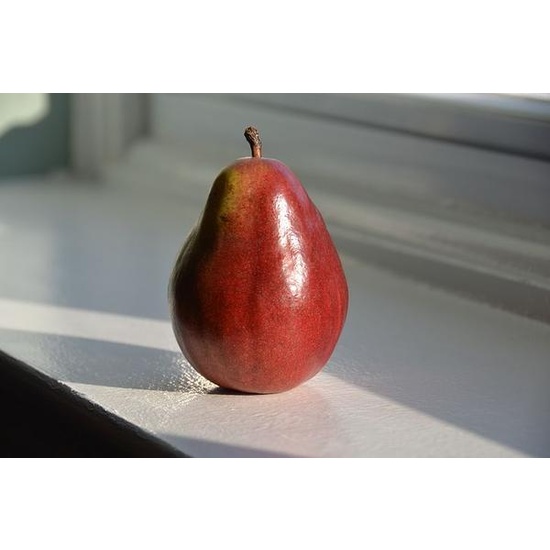 Pepperberry Pear - Fragrance Oil