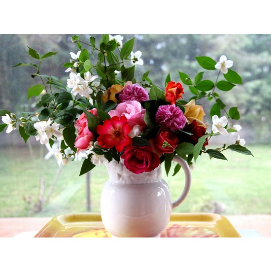 Pink Rose & Jasmine - Fragrance Oil (250ml)