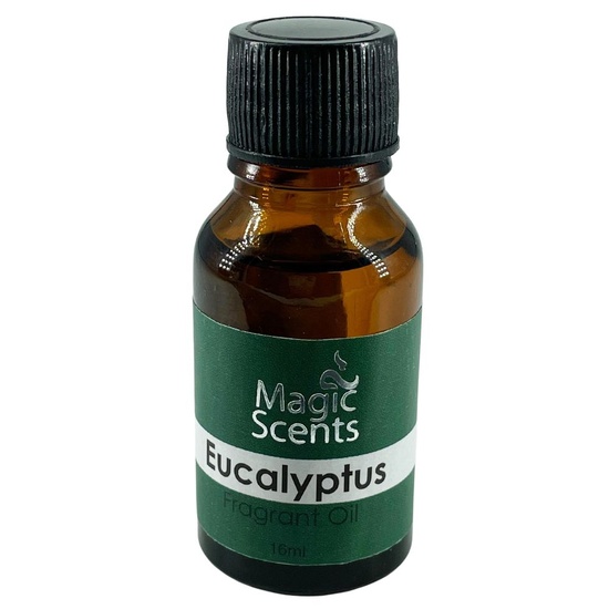 Eucalyptus - Fragrant Oil (16ml)