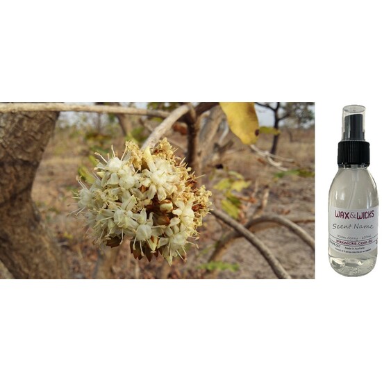 Shea Blossom - Room Spray
