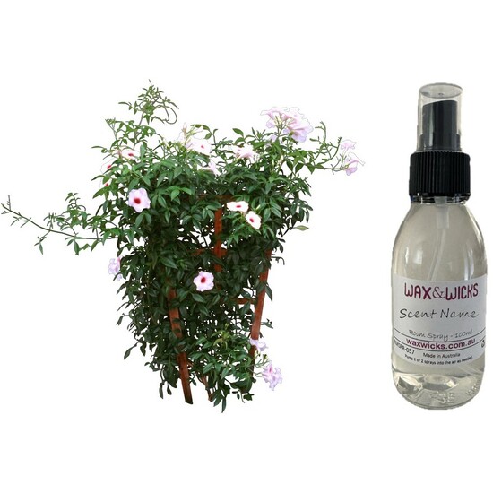 Jasmine - Room Spray