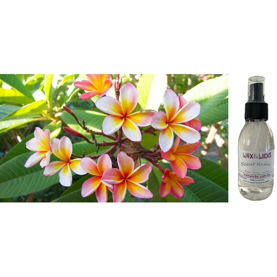 Wild Frangipani - Room Spray