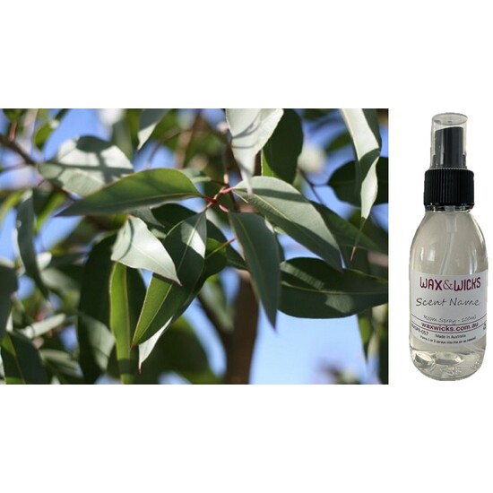 Eucalyptus Citriodora - Room Spray
