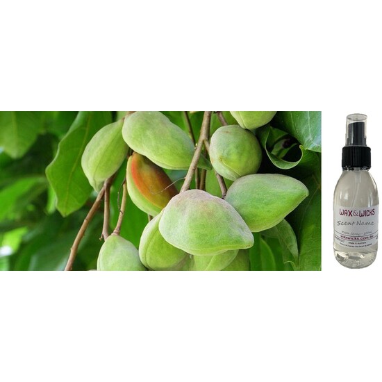 Kakadu Plum & Bush Cucumber - Room & Linen Spray