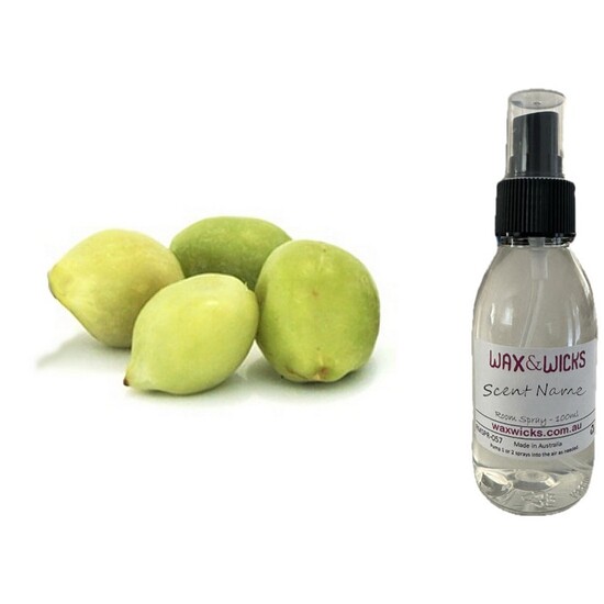 Kakadu Plum - Room & Linen Spray