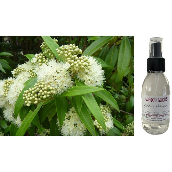 Lemon Scented Myrtle - Room & Linen Spray