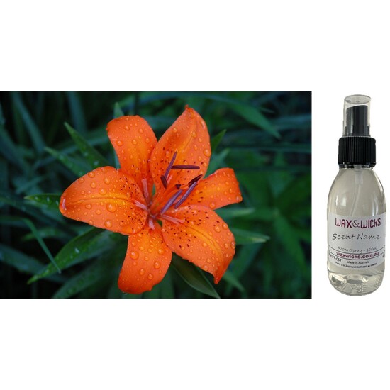 Tiger Lily & Patchouli - Room Spray