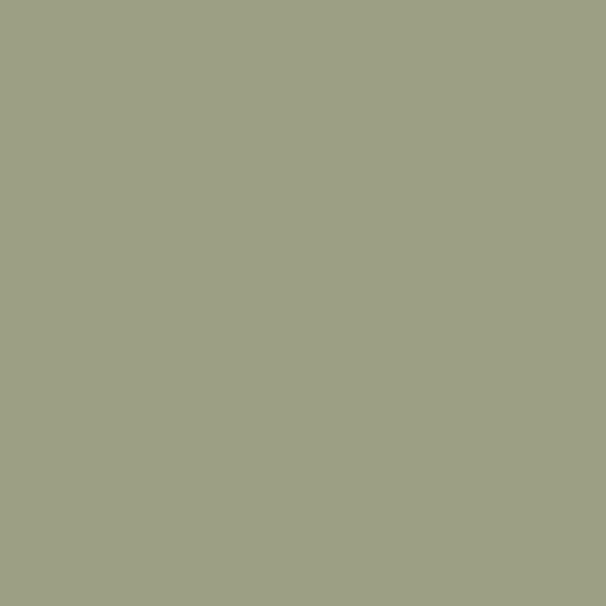 Liquid Soap Dye - Sage (10ml)